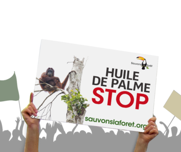 Sauvons la forêt se mobilise contre l'huile de palme