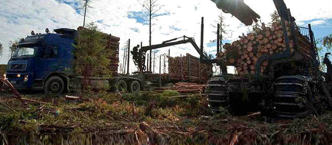 En haut : photo - dans un paysage déboisé une abatteuse, au premier plan, charge un camion de troncs d'arbres. En bas : sur fond blanc, logo de IKEA à droite, à gauche en gros le mot « CHUT ! » et en dessous les mots « déforester, communiquer, profiter »