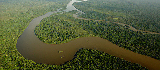 Vue aérienne de la forêt amazonienne