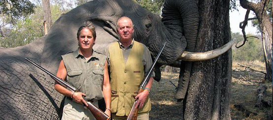 Le monarque espagnol et ancien président d'honneur du WWF Juan Carlos pose avec un fusil devant l'éléphant qu'il vient d'abattre au Botswana