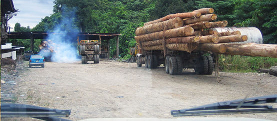 Un camion avec un chargement de troncs d'arbres coupés roule sur une route en terre au milieu de la forêt