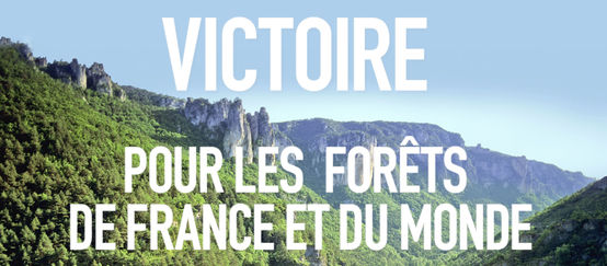 Texte : "Victoire pour les forêts de France et du monde" avec en arrière-plan une vue aérienne sur une vallée et ses forêts majestueuse dans les Cévennes