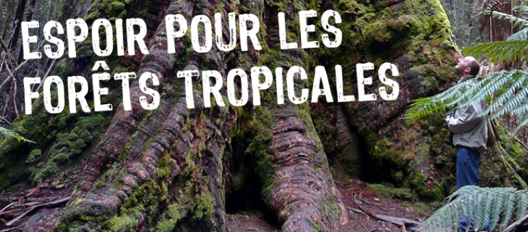 La victoire nécessite souvent plusieurs années de lutte à nos partenaires