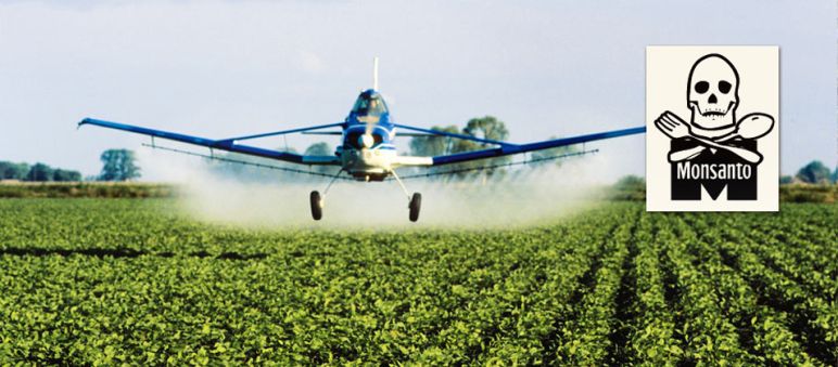 Épandage aérien d'herbicides Un avion pulvérise des pesticides sur une plantation de soja