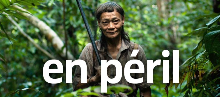 Le peuple Penan est en lutte pour sa survie à Bornéo Un individu du peuple Penan dans la forêt tropicale à Bornéo. Texte au premier plan : EN PÉRIL