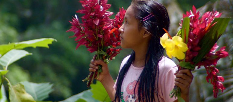 Une jeune fille Kichwa à Sarayaku Une jeune fille Kichwa se tenant de profil porte un bouquet de fleur dans chaque main