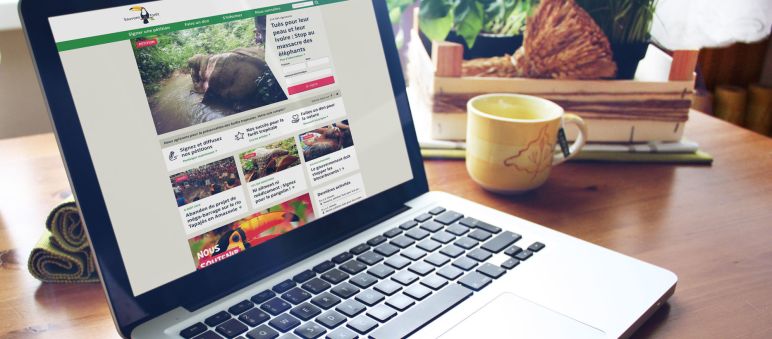 Le nouveau site de Sauvons la forêt : un outil pour mieux s’organiser et agir Posé sur une table, un ordinateur portable sur lequel apparait le nouveau site de Sauvons la forêt