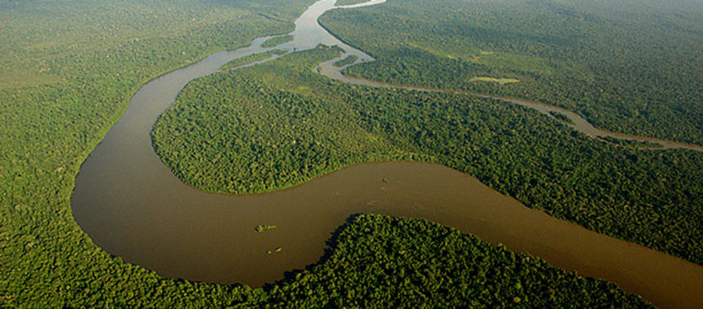 Des trésors naturels uniques sont en jeu au Brésil Vue aérienne de la forêt amazonienne