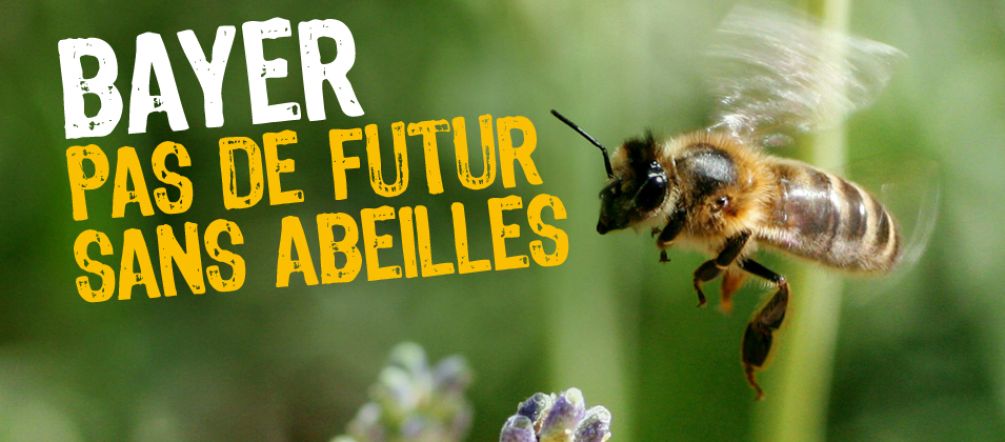 Les néonicotinoïdes sont une menace pour les abeilles