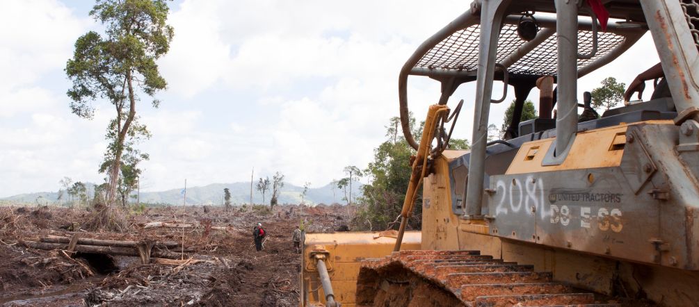 Offensive contre la forêt des orangs-outans à Bornéo Un bulldozer en train de défricher une forêt dans un paysage de dévastation