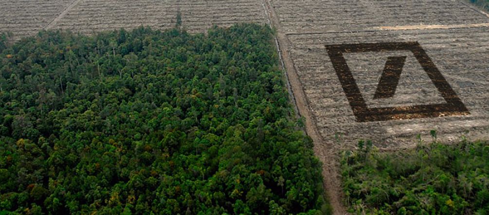 La Deutsche Bank cherche des investisseurs pour transformer les riches forêts tropicales d'Afrique et d'Indonésie en immenses monocultures de palmiers à huile Vue plongeante sur une forêt intacte en bas à gauche et défrichée sur le reste de l'image. Collage du logo carré de la Deutsche Banque en perspective à droite sur la zone déboisée.