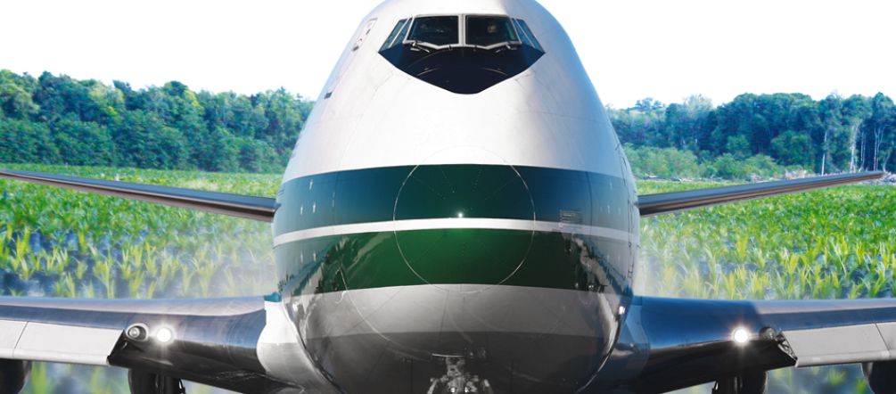 Avion au-dessus d'une monoculture d'huile de palme