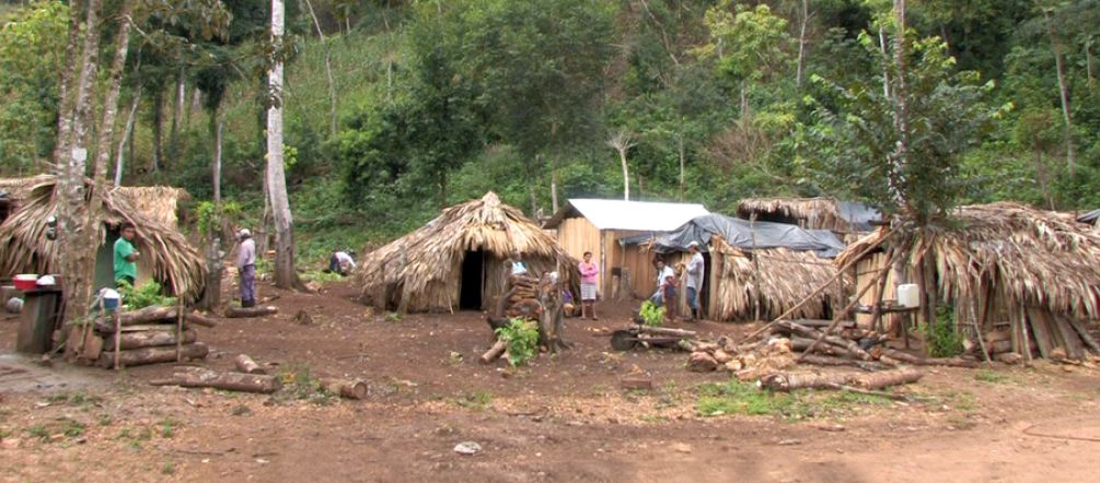 Communauté ayant souffert une expulsion dans le département du Petén Un campement de réfugiés dans la forêt