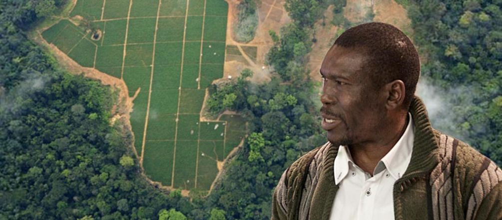 Nasako Besingi : « La société d’huile de palme ne stoppera pas notre combat pour la préservation de la nature » Photomontage : de profil le militant écologiste Nasako Besingi avec comme arrière plan une vue aérienne sur une plantation d’Herakles Farms au Cameroun.