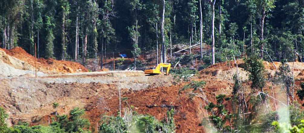Il est encore possible d'empêcher les bulldozers de détruire la zone naturelle protégée