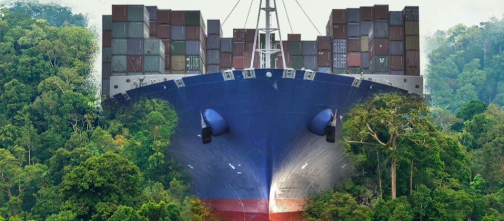 Canal interocéanique du Nicaragua : faciliter le libre-échange global au prix de la nature Photomontage : un porte conteneurs vue de face se dirige vers nous en pulvérisant la forêt tropicale