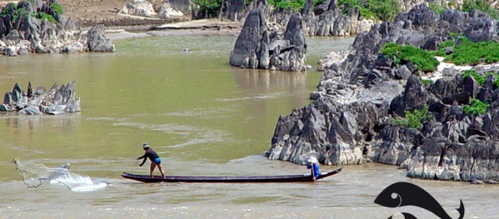 Le fleuve nourrit des millions de personnes