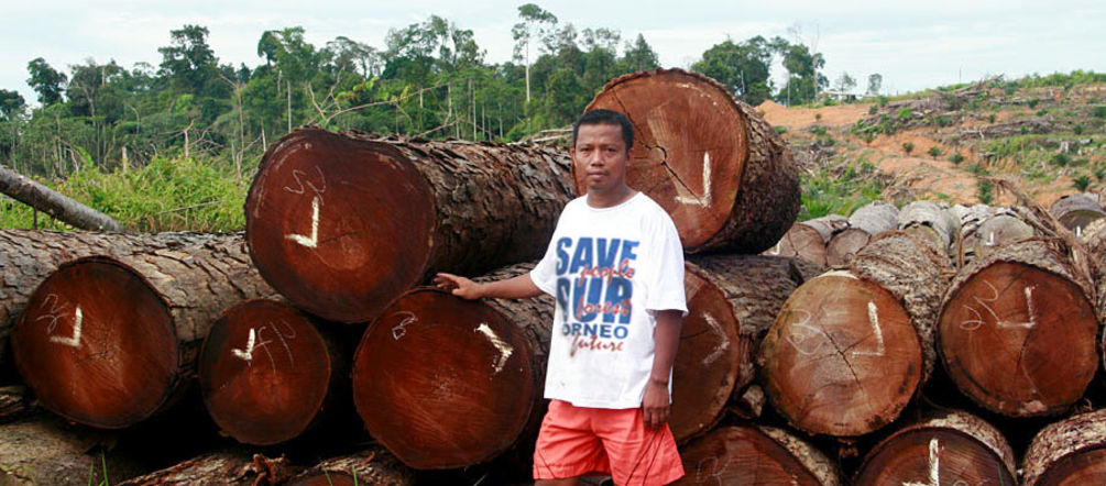 Présent dans le premier documentaire : notre partenaire Nordin Notre partenaire Nordin de l'organisation Save our Borneo pose devant un tas de troncs d'arbres tropicaux