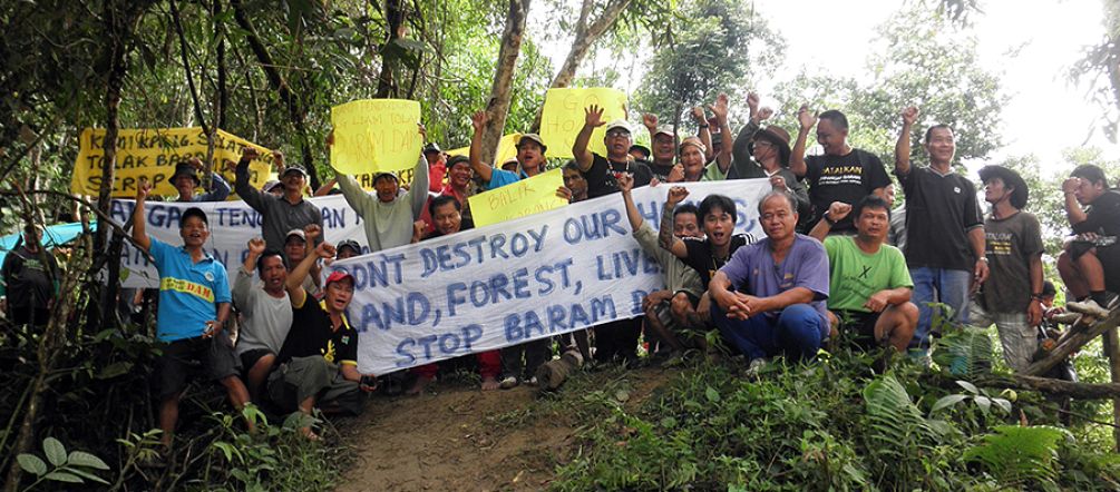 Les habitants du Sarawak s'opposent à la destruction de leurs forêts tropicales Des autochtones posent avec leurs pancartes dans la forêt tropicale du Sarawak pour manifester contre le barrage de Baram.