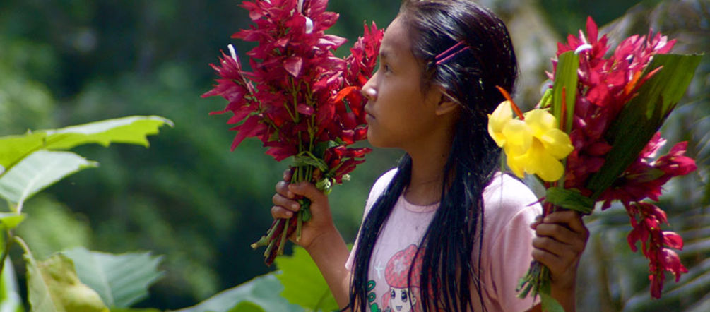 Une jeune fille Kichwa à Sarayaku Une jeune fille Kichwa se tenant de profil porte un bouquet de fleur dans chaque main