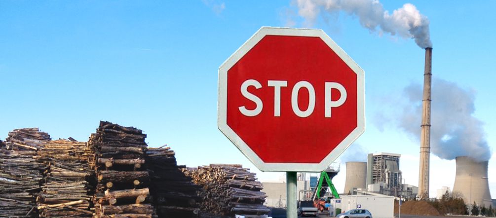 La centrale à biomasse d’Unioper menace les forêts françaises et du monde Des montagnes de bois en attente d'être brûlées dans la centrale à biomasse Provence 4 d'E.On à Gardanne