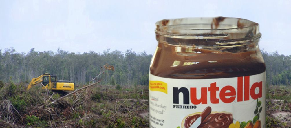 L'huile de palme contenue dans le Nutella cause la destruction des forêts tropicales Photomontage avec un pot de Nutella en premier plan sur fond de forêt pluviale détruite par des bulldozers