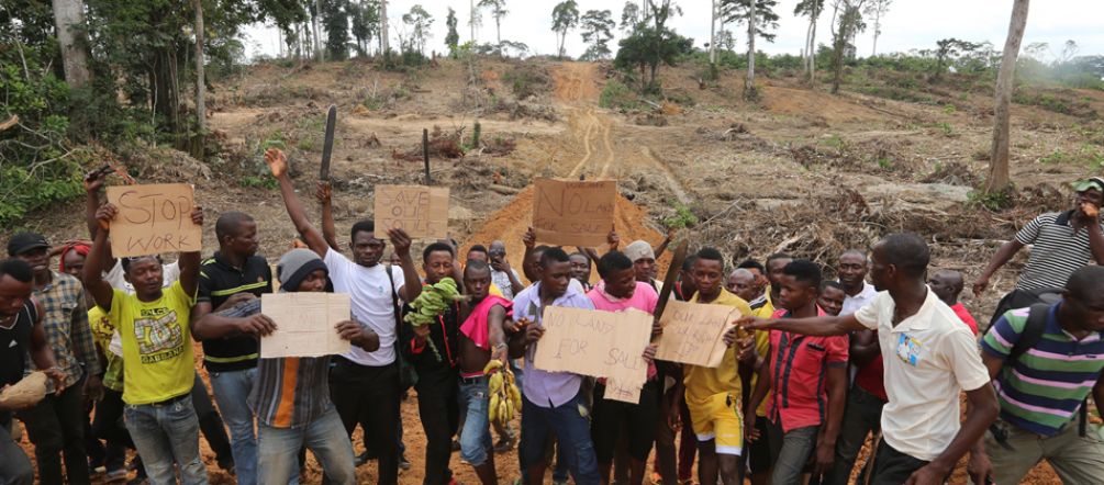 Manifestation contre les déboisements du géant de l’huile de palme Wilmar au Nigéria Au milieu d’une forêt tropicale défrichée, des paysans nigérians manifestent contre les agissement du groupe Wilmar dans leur pays