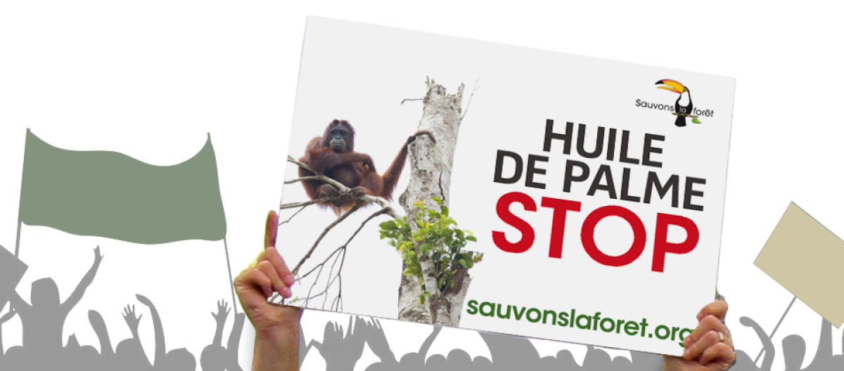 Sauvons la forêt se mobilise contre l'huile de palme