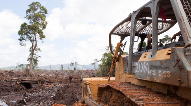 Offensive contre la forêt des orangs-outans à Bornéo Un bulldozer en train de défricher une forêt dans un paysage de dévastation