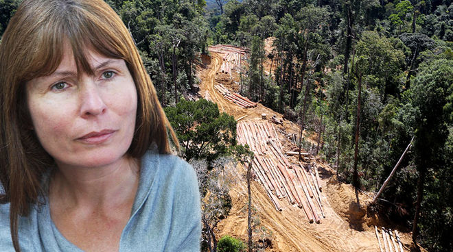 La journaliste Clare Rewcastle-Brown est poursuivie pour informer sur la corruption et la déforestation en Malaisie Photomontage : la rédactrice en chef du site Sarawak Report avec pour arrière plan une photo aérienne de déforestation