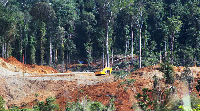 Il est encore possible d'empêcher les bulldozers de détruire la zone naturelle protégée