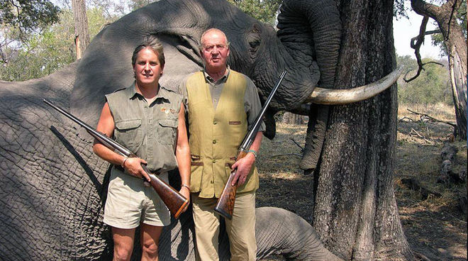Juan Carlos, roi d'Espagne et président d'honneur de la WWF Le monarque espagnol et ancien président d'honneur du WWF Juan Carlos pose avec un fusil devant l'éléphant qu'il vient d'abattre au Botswana