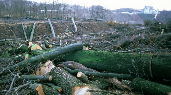 Quarzwerke destrois the Buschbell Forest to extract sand (© Ralf Gütz) 