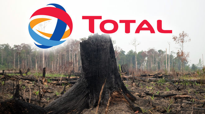 Les biocarburants à base d’huile de palme conduisent à la déforestation tropicale Forêt tropicale dévastée pour la culture d'huile de palme à Sumatra
