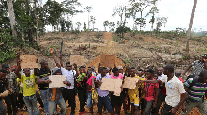 Manifestation contre les déboisements du géant de l’huile de palme Wilmar au Nigéria Au milieu d’une forêt tropicale défrichée, des paysans nigérians manifestent contre les agissement du groupe Wilmar dans leur pays