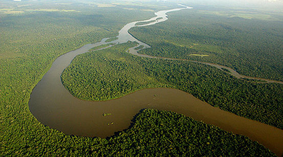 Vue aérienne de la forêt amazonienne