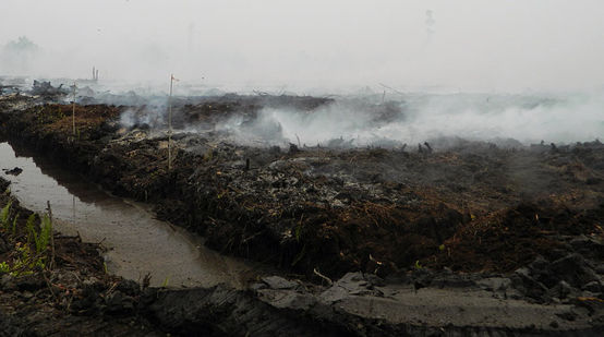 Feu et fumée dans la tourbière drainée de la plantation de l’entreprise d’huile de palme PEAK dans le district de Katingan (province du Kalimantan central)