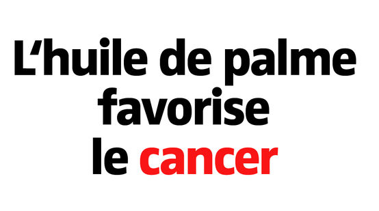 L'huile de palme favorise le cancer