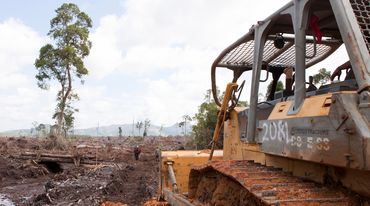 Un bulldozer en train de défricher une forêt dans un paysage de dévastation