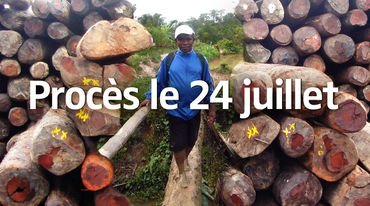 Photomontage : le militant écologiste Clovis Razafimalala encadré par des piles de grumes de bois de rose + Texte : Procès le 24 juillet