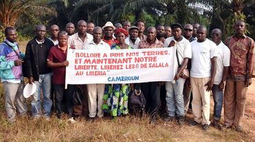 Au milieu d’une palmeraie, un groupe d’une vingtaine de paysans camerounais exhibe une banderole sur laquelle est écrit : « Bolloré a pris nos terres. Et maintenant notre liberté. »