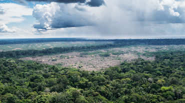 Photo aérienne des forêts vierges à proximité du village de Tamshiyacu au Pérou