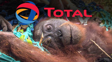 Orang-outan agonisant avec le logo deTotal