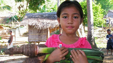 Avec pour arrière plan les cabanes de son village, une jeune fille au T-Shirt rose nous montre une belle botte de Taro