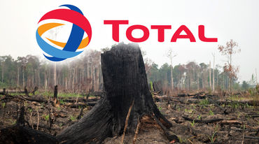 Forêt tropicale dévastée pour la culture d'huile de palme à Sumatra