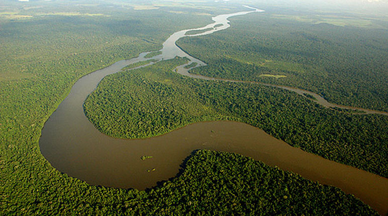 Nous nous engageons activement pour la préservation des forêts tropicales Vue aérienne de la forêt amazonienne