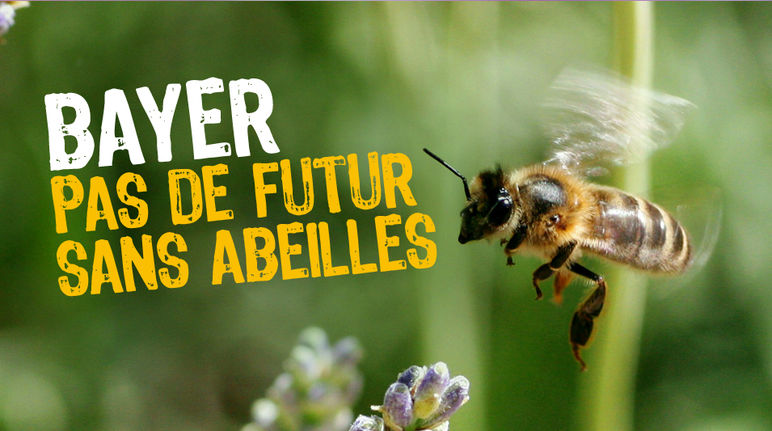 Les néonicotinoïdes sont une menace pour les abeilles