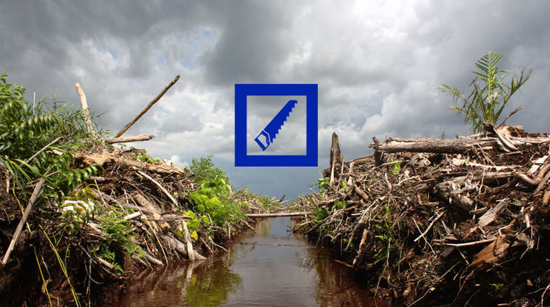 La Deutsche Bank finance les déboisements opérés par Bumitama Agri par en Indonésie Photomontage : une zone de forêt tropicale défrichée avec le logo de la Deutsche Bank.