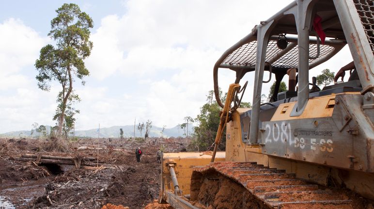 Un bulldozer en train de défricher une forêt dans un paysage de dévastation