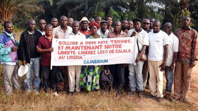 Au milieu d’une palmeraie, un groupe d’une vingtaine de paysans camerounais exhibe une banderole sur laquelle est écrit : « Bolloré a pris nos terres. Et maintenant notre liberté. »